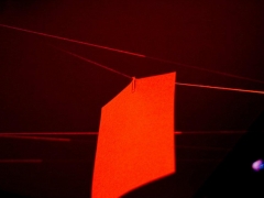2011025475_n